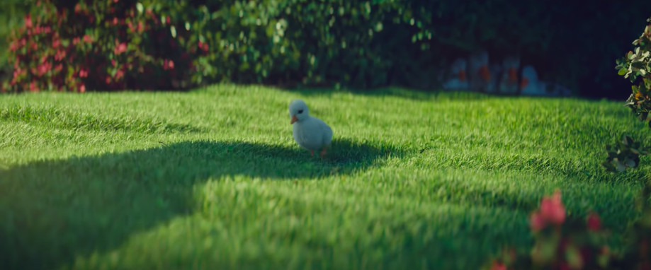 螢幕快照 2018-12-30 下午3.01.45