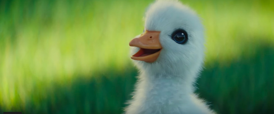 螢幕快照 2018-12-30 下午3.02.15