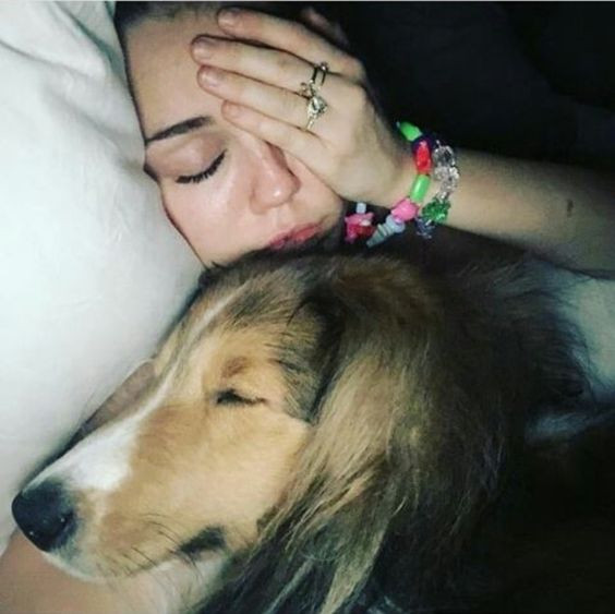 2d1da4d4ff2b31ca1373c090c61187d8