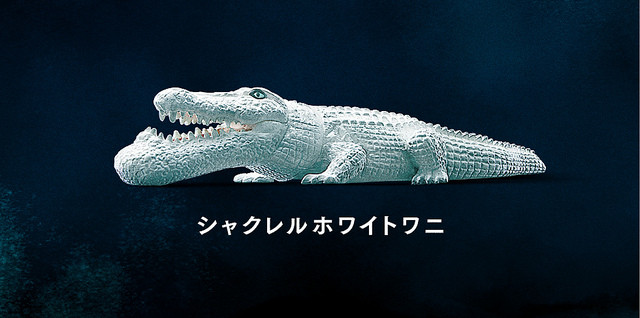 46328677062_5702d57a01_z