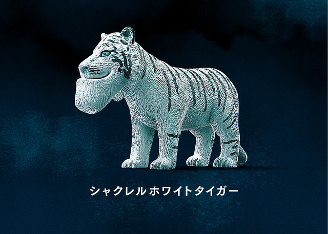 46328677672_f9762817a4_z