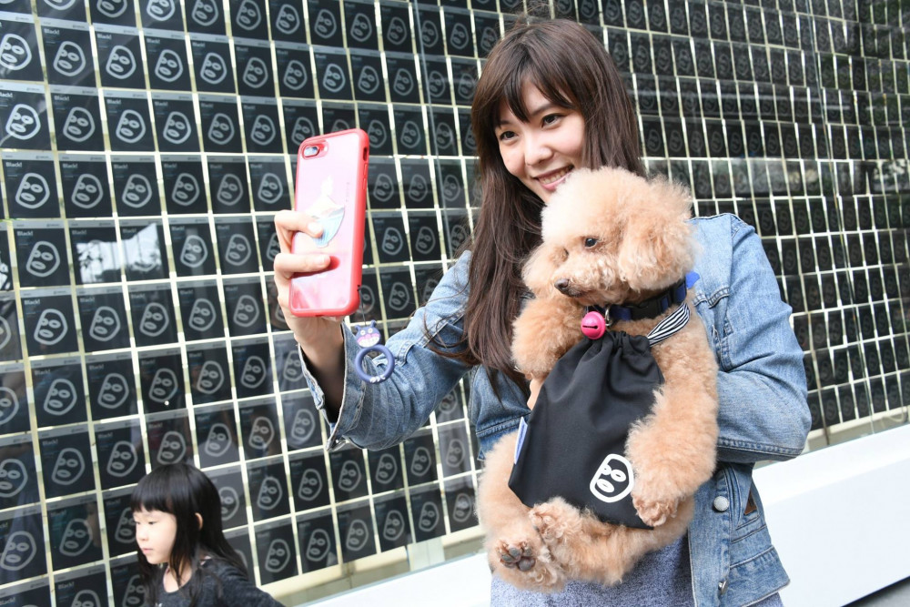 48413334_2109034835806168_1888258483078299648_o