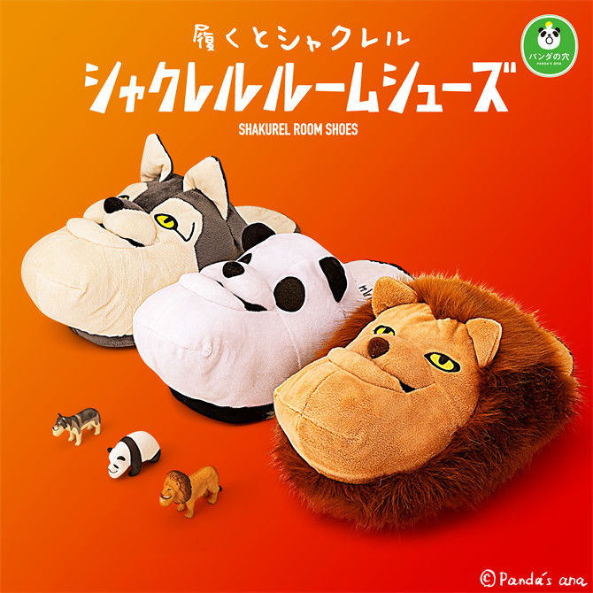 dq7t9f8h79c0skg0kwck0wookpiydta