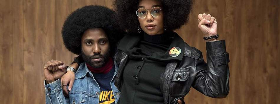 l5qan56XkKalp5ub-950x355