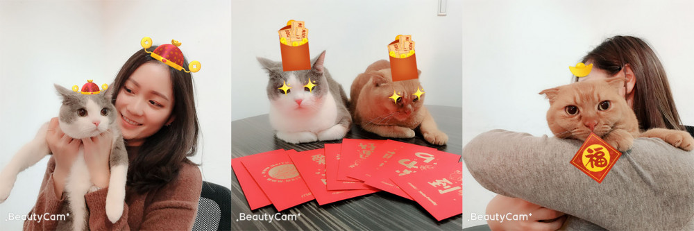 【美顏相機】毛起來拜年！和毛寶貝一同套上寵物拜年AR討紅包～