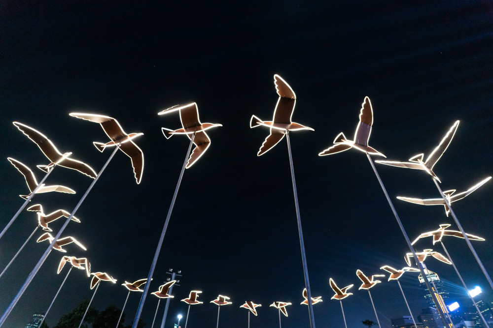 日本的藝術家設計具互動元素的魔法光影鳥群藝術作品，愈多遊人置身其中，便有愈多鳥兒發光。 (1)