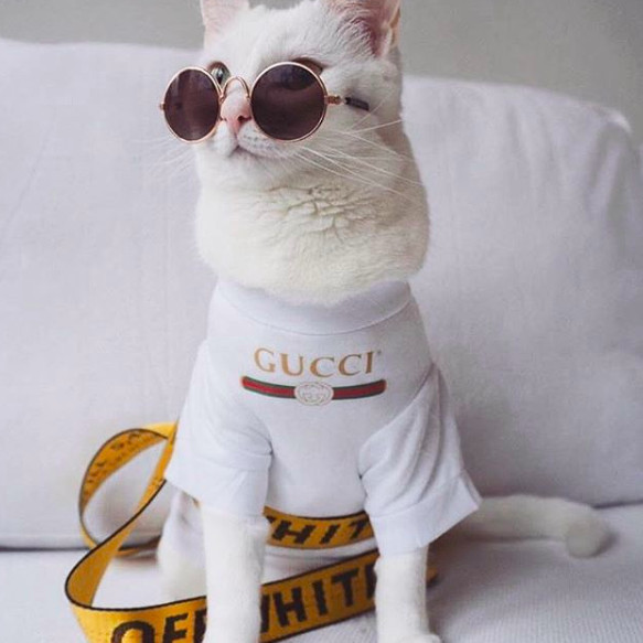 螢幕快照 2019-01-28 下午4.09.58