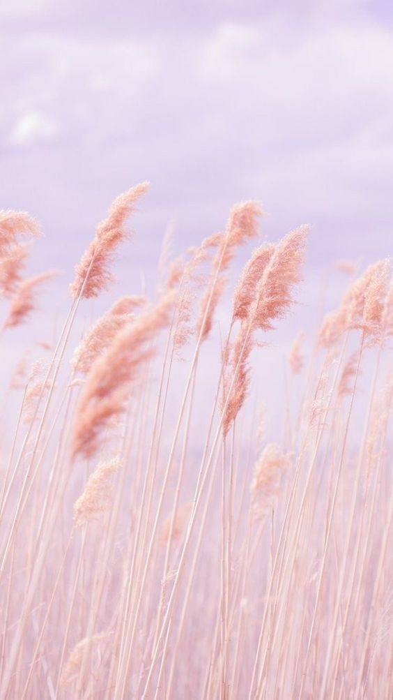 137c829a1d5eabfc315f460e51bfafaf