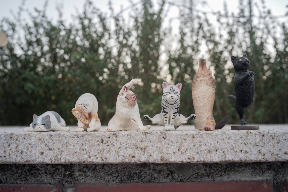 4906540​​0_2135769809838296_8058058314648387584_o