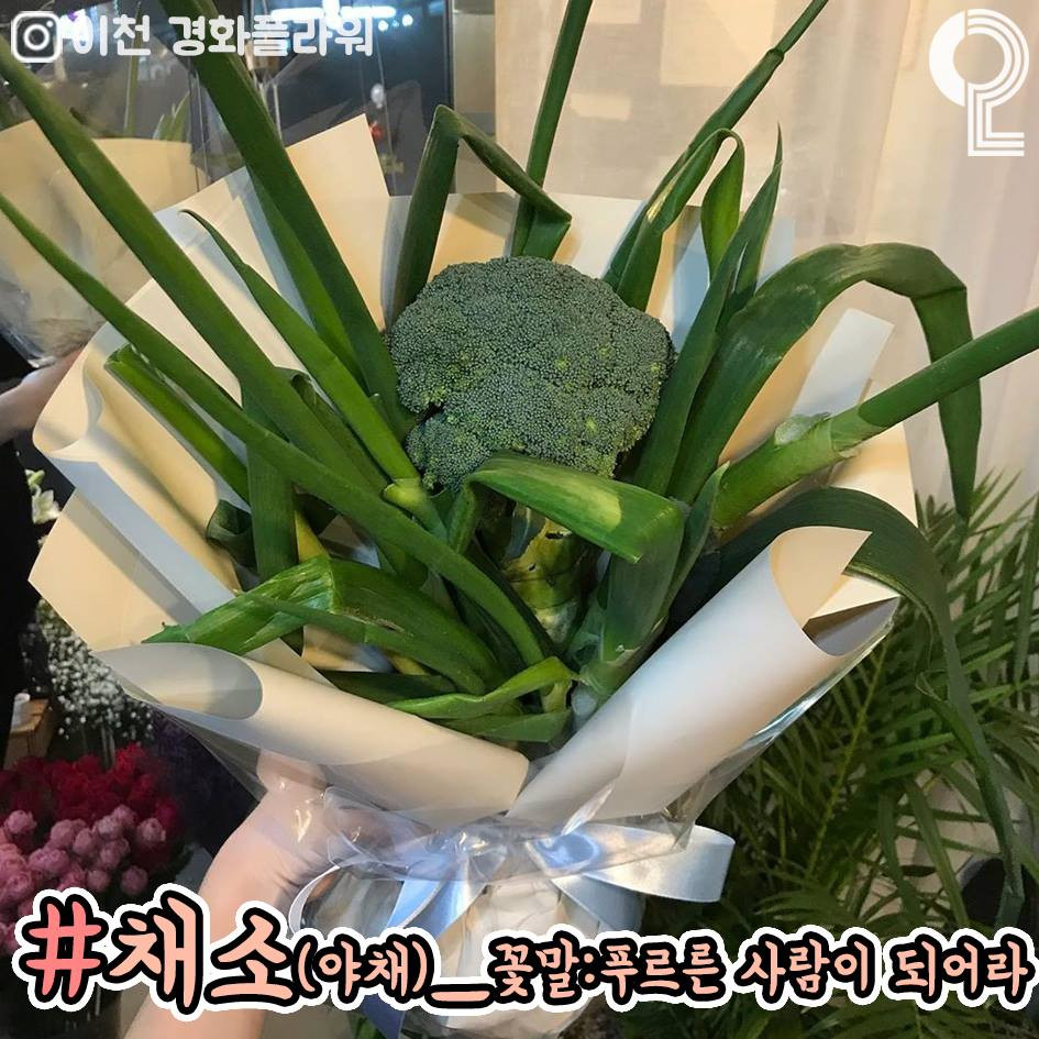 49376843_2131387633631961_2880139536086597632_n