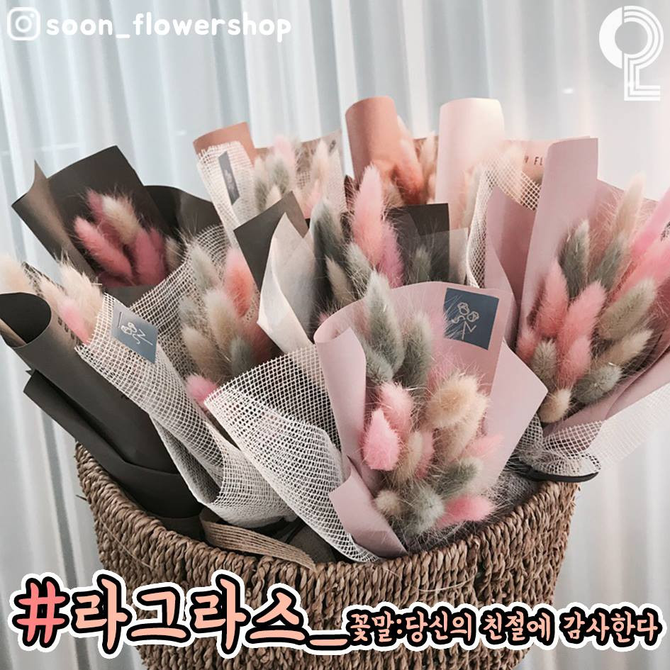 49946896_2131387173632007_761811053804781568_n