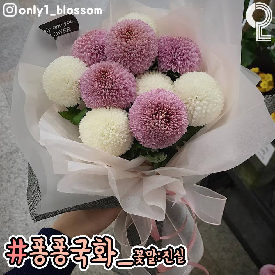 50031993_2131387066965351_7248070492425289728_n