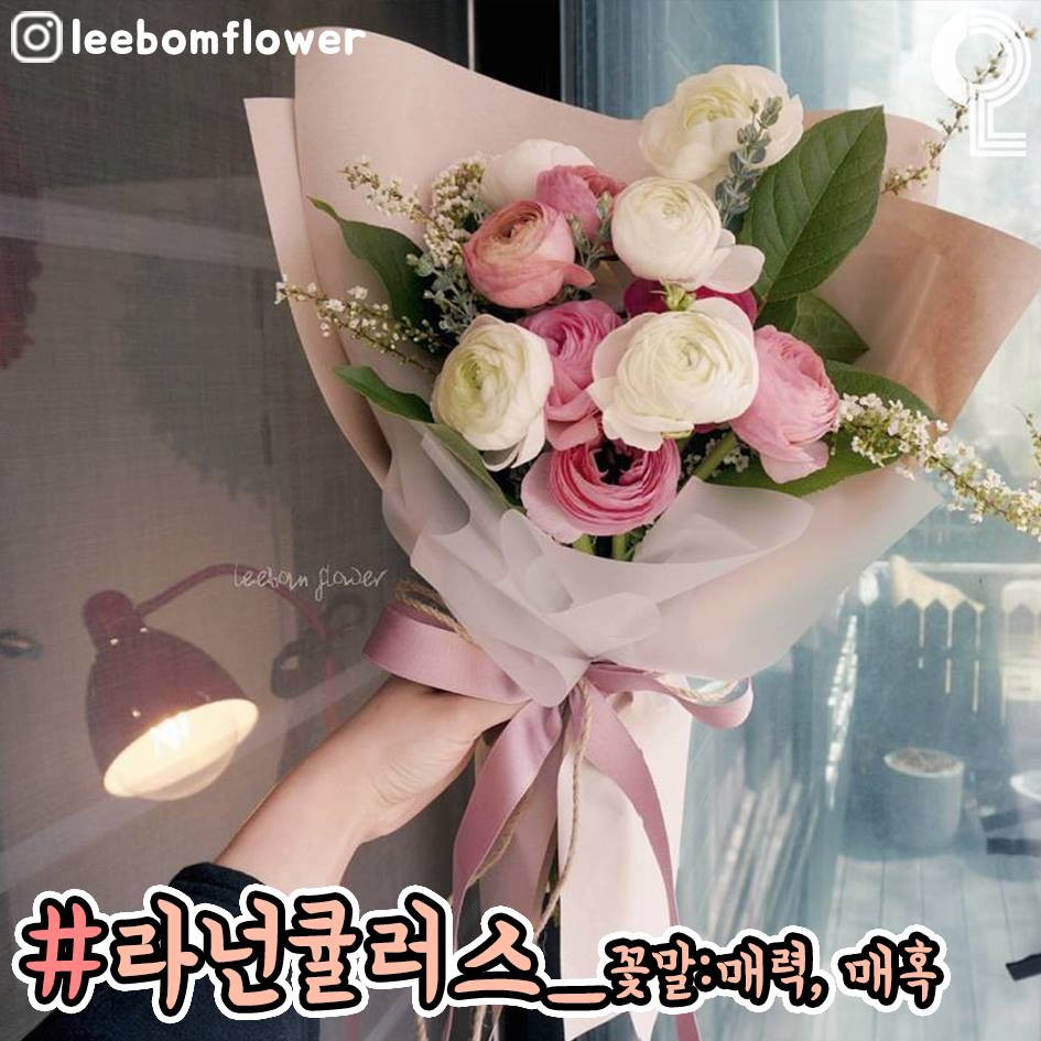 50082529_2131387410298650_7733182031986688000_n