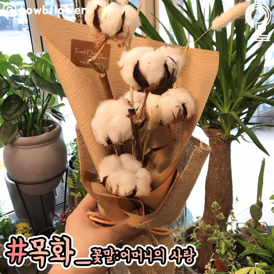 50243795_2131387240298667_6588817914709671936_n