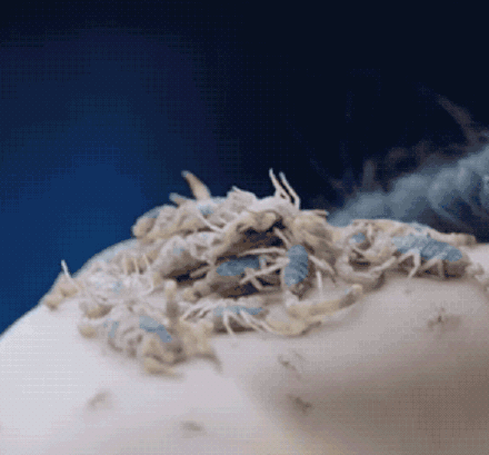 86cd0445gy1fzgweksg1kg20kc0iwe85