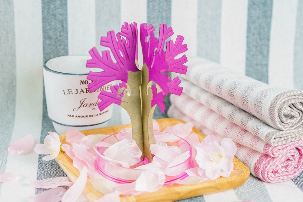 Hi-Life 櫻花紙樹