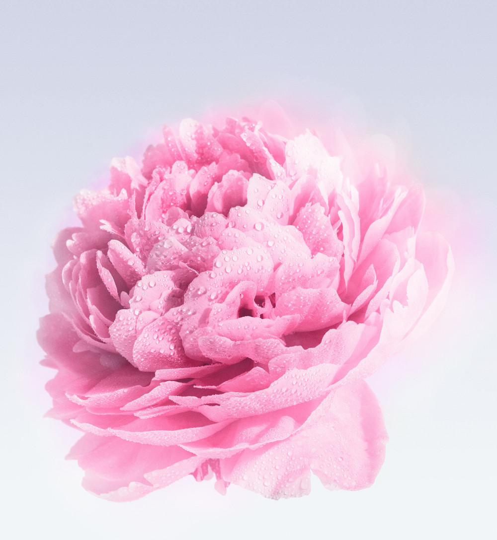 Miss Dior淡香水 情境圖_3