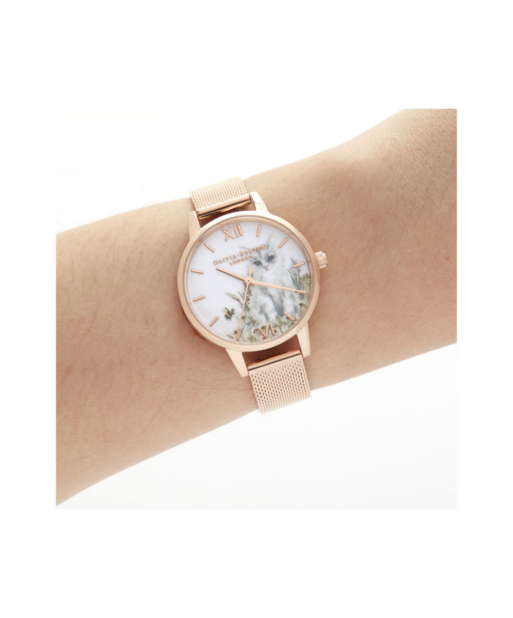 OB16WL76w_LRG_rgb_dial1