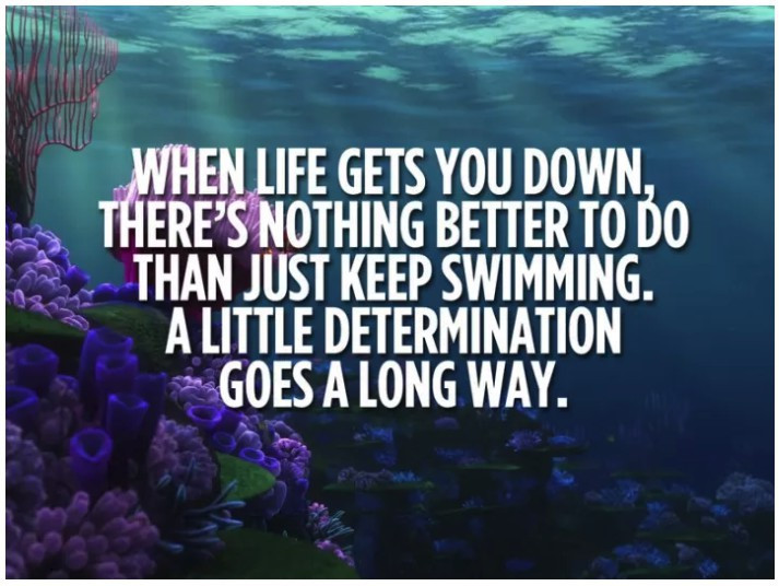 Screen-Shot-2018-06-28-at-12.50.02-PM