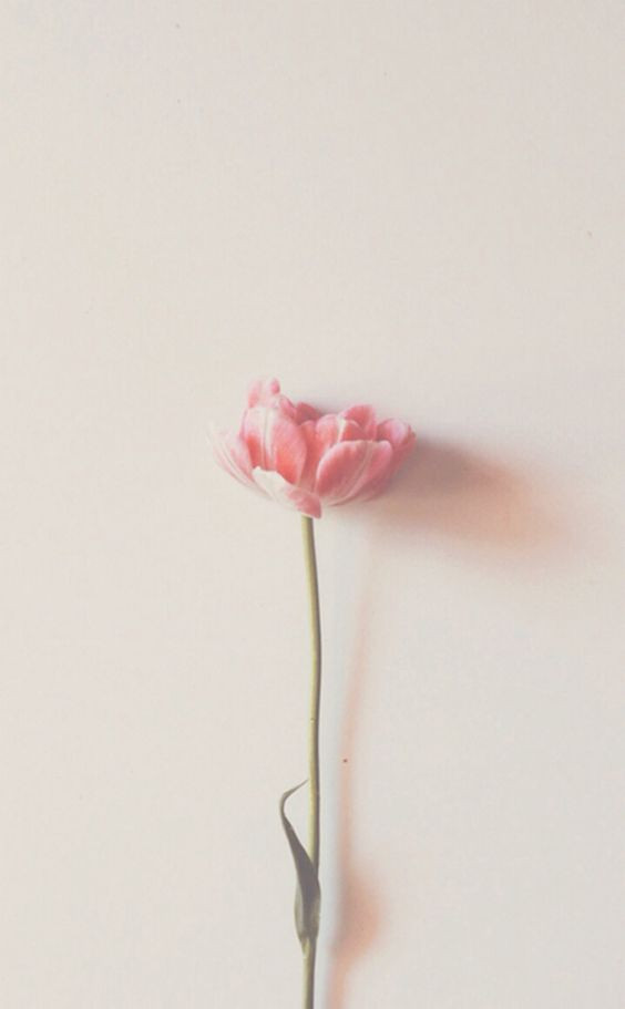 e09c6249c8d932228f1c7093c7cab8ab