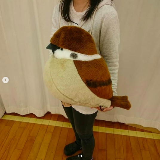 螢幕快照 2019-02-13 下午5.37.03