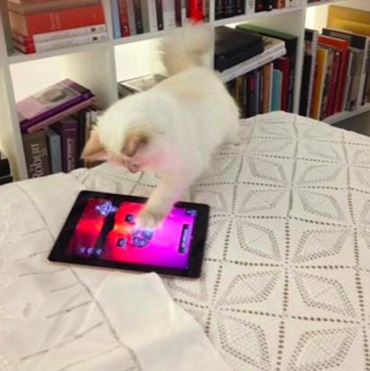 螢幕快照 2019-02-20 下午11.39.02