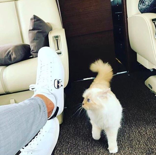 螢幕快照 2019-02-20 下午11.45.40