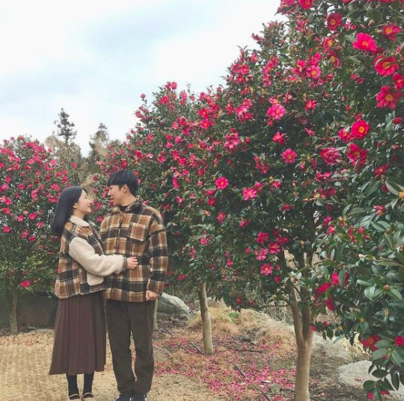 螢幕快照 2019-02-26 下午1.56.47