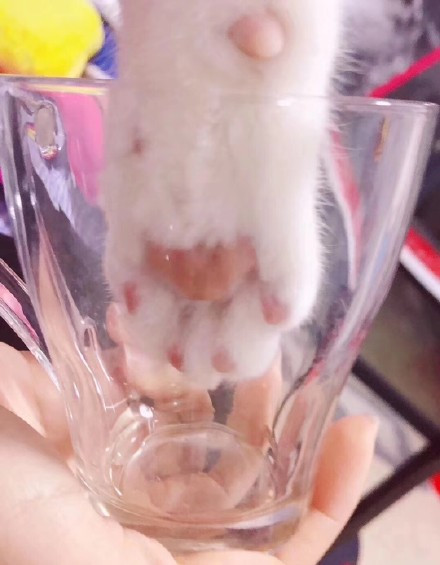 006NKH0Ily1g0m08mb73mj30u012kgqk