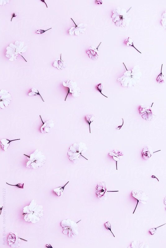 16fb7d3bd71237f54485514c88074374