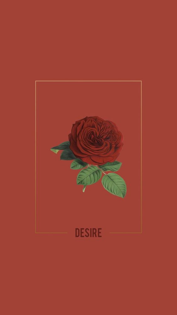 ea984fc43b39f7826c023c333f60e853