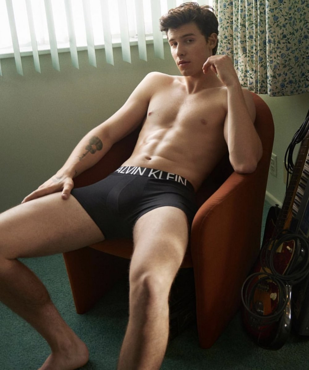 shawn mendes underwear calvin klein
