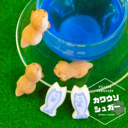 螢幕快照 2019-03-12 下午4.20.41