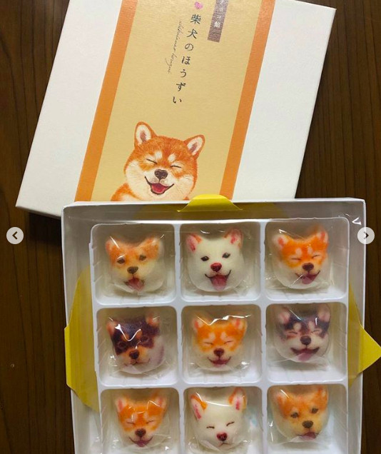 螢幕快照 2019-03-17 上午10.44.58