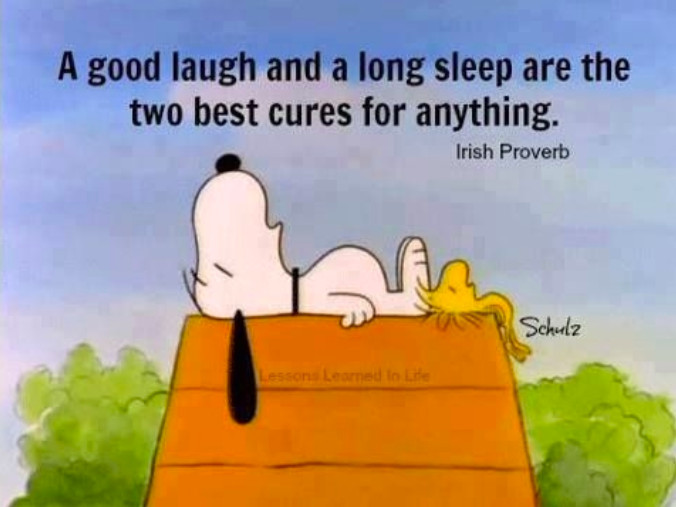 螢幕快照 2019-03-28 下午7.40.59