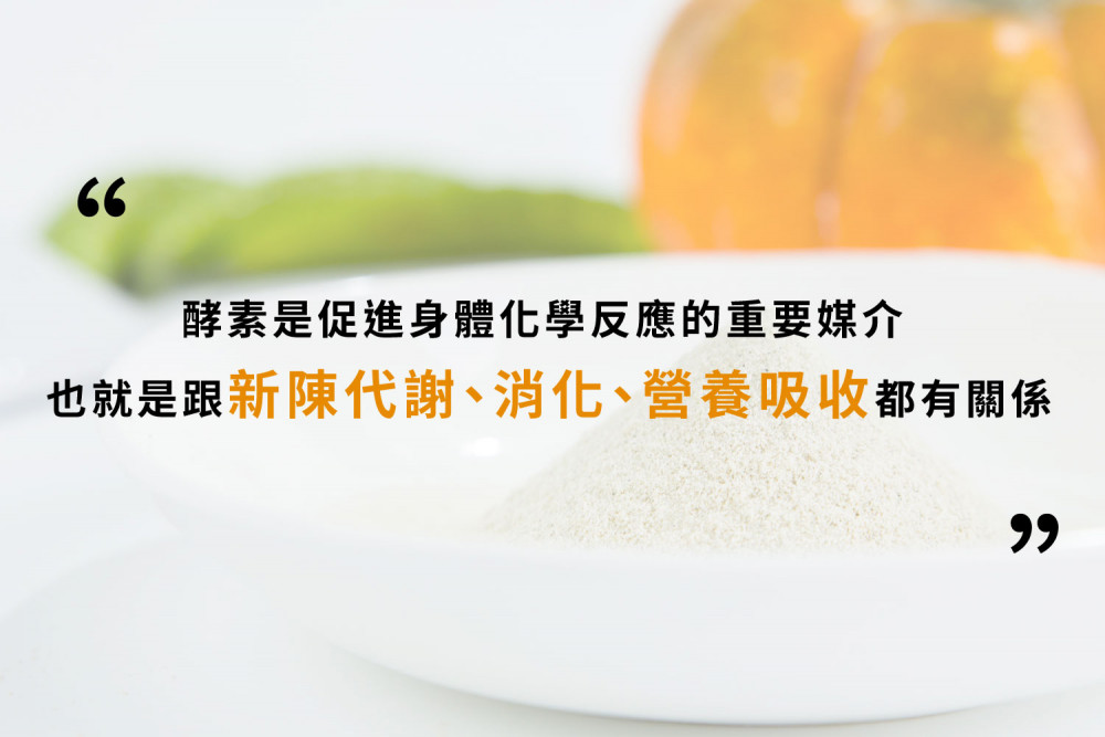 190328台灣女生字卡3