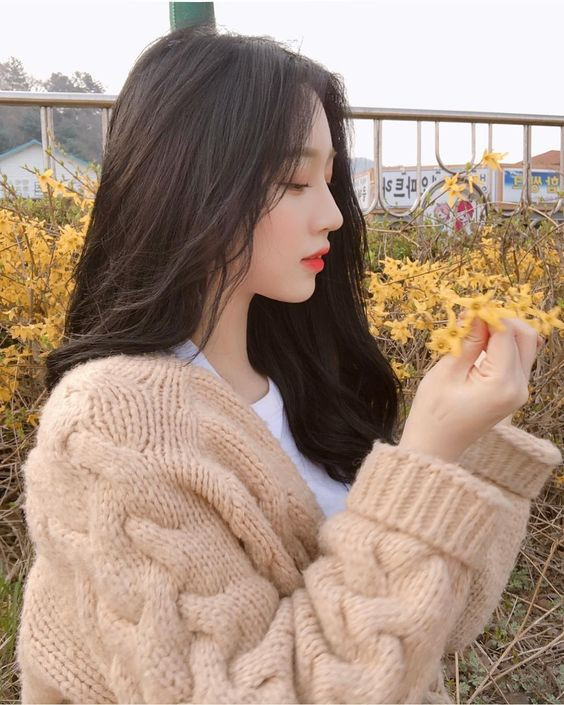 1ef8926b4152de4a59a9871e8e793c67