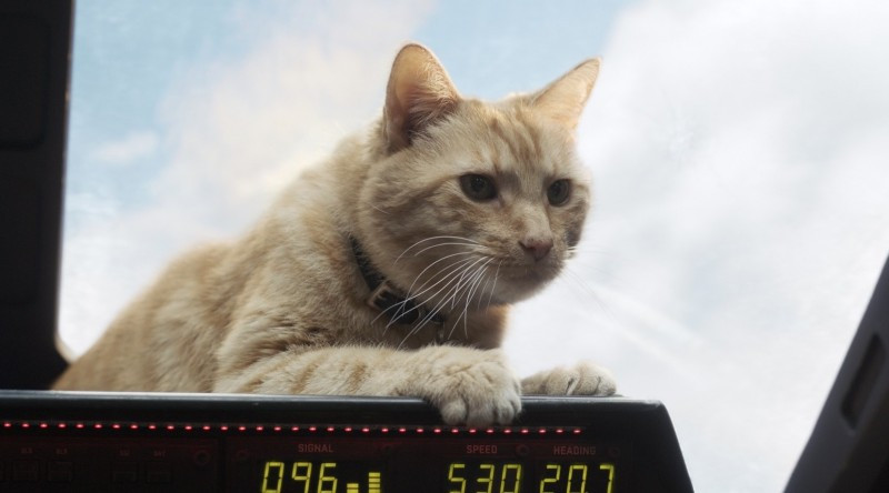 2717479_2