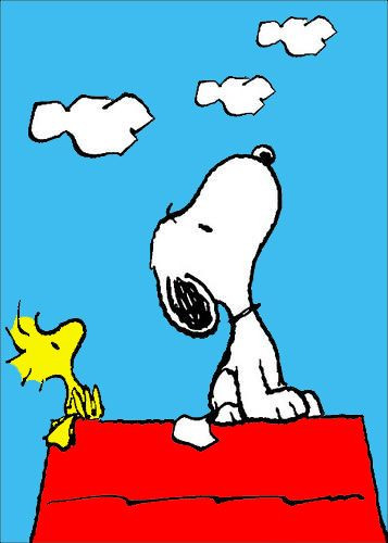 4fc534bedf2e521034a421440383010d