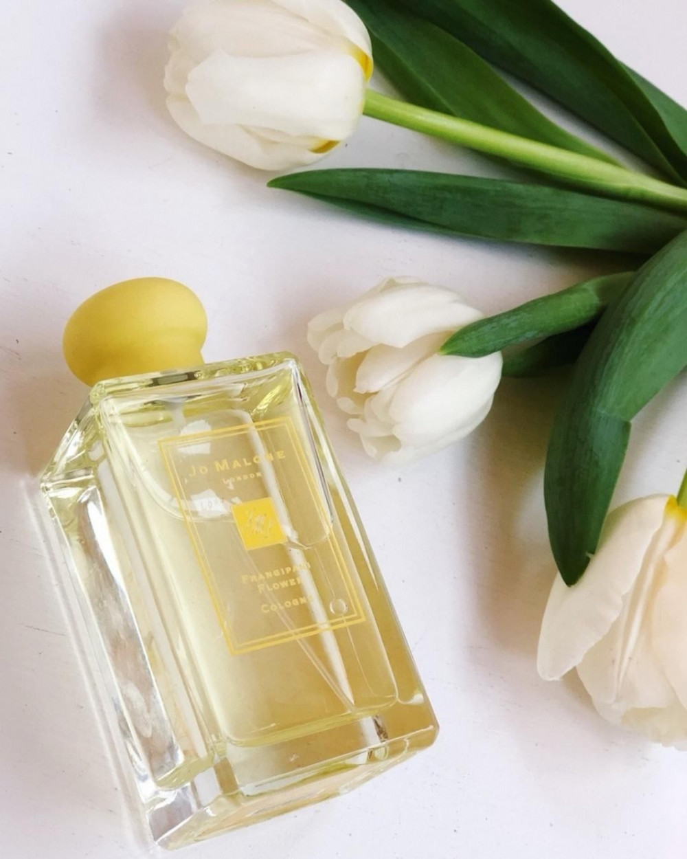 50754504_344727456377803_3790622427280255083_n