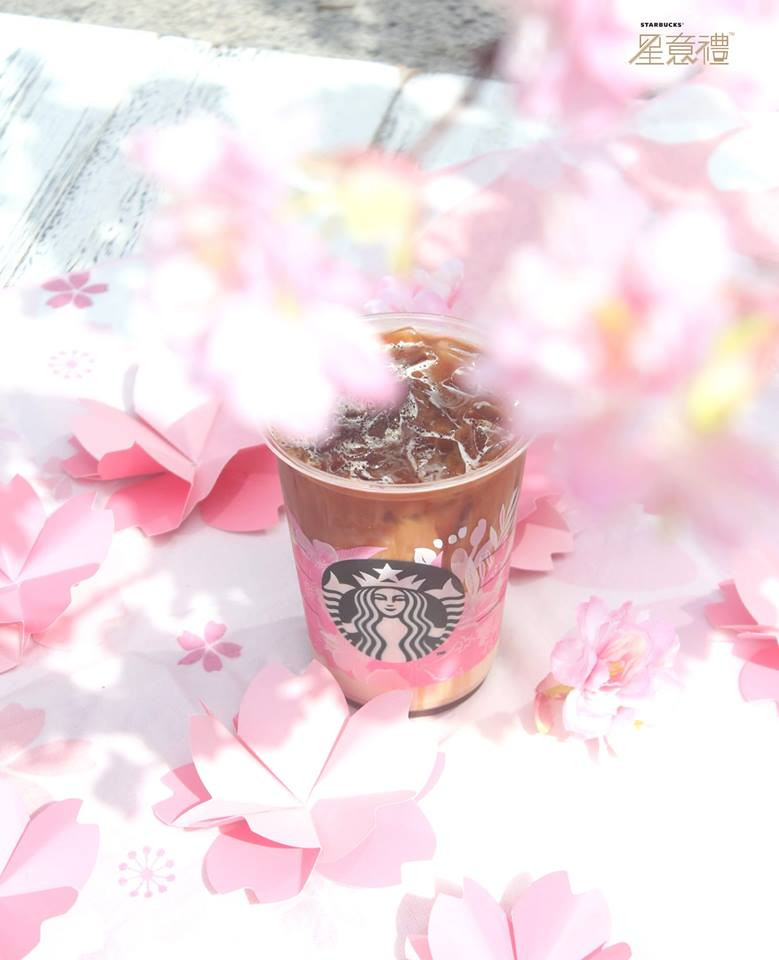 52402650_10158108655815828_8039693463987421184_n