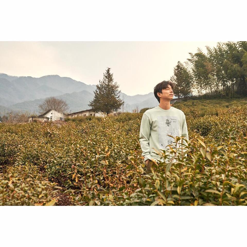 53040349_982725755267470_7346505842859966464_n