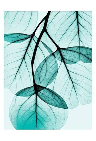 5334d93a519d04853d07013447b75e17