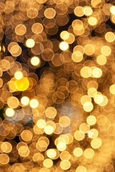 823a11c5eee6f3f1c54e19dac376f1a4