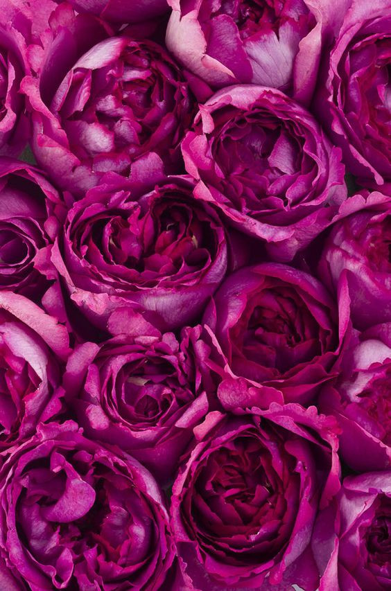 8741a8872e9b4f06db6e0aec99d24ae1