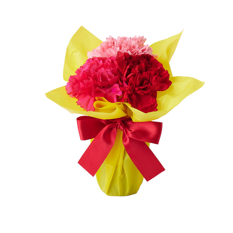 Q319MOTHERS_DAY_PH_1