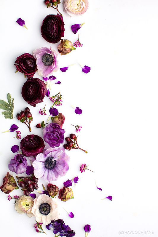 c0003f17315ae02d102b0ae471ffb65b