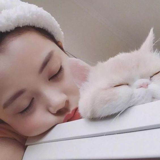 f4e78261f301ad6b0b76553f8da39ec2