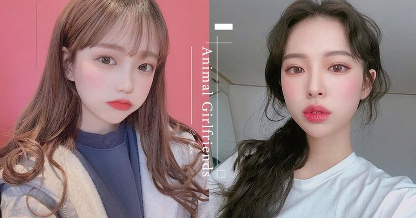 犬系女友愛抱抱 貓系女友超傲嬌 盤點6種萌翻天的 動物系 女友 妳是哪一種類型的小動物呢 Girlstyle 台灣女生日常