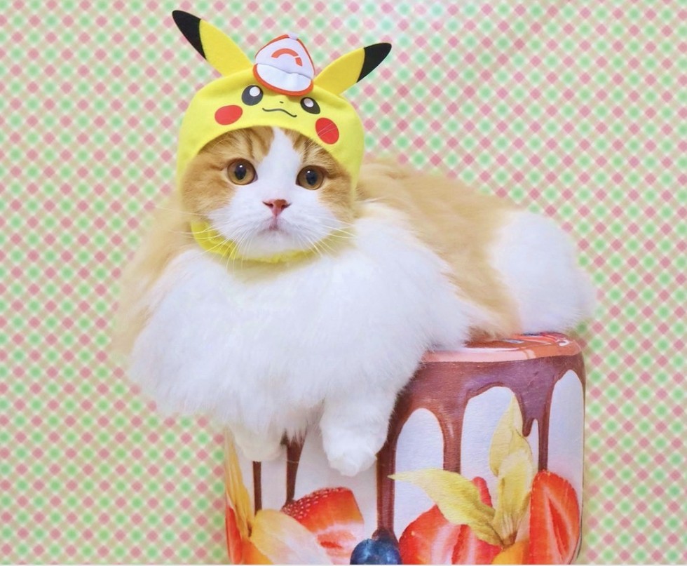 螢幕快照-2019-03-26-下午4-44-15-1553589926